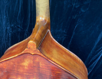 “Pancake” double bass, Leroy Geiger, Chicago/USA c.1930 - Image 5