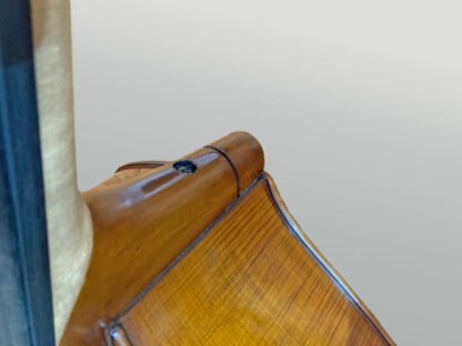 Double bass with removable neck