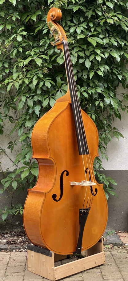 Engelhardt-Link, Violin model, blond - Image 2