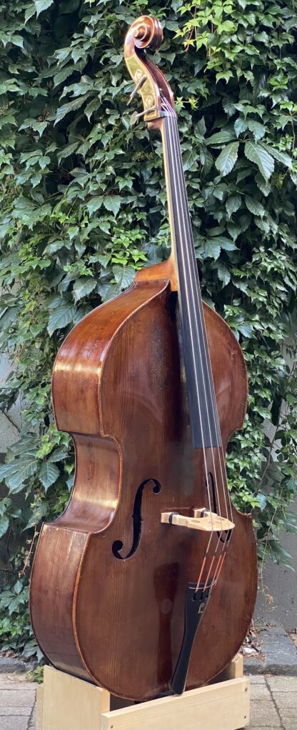 Double Bass, Bohemia - Image 3
